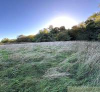 A vast meadow with grass surrounded by forest; ideal for agricultural and forestry land.