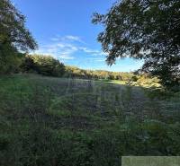Green agricultural and forest lands with a blue sky and dense vegetation.