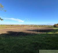 A landscape with agricultural and forest lands, clear sky, and trees at the edge.