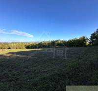 Vast agricultural lands with views of forest areas under a blue sky.