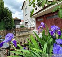 A family house with an antique layout, detail of purple flowers and a wooden fence.