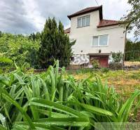 A family house among greenery and raindrops, fencing in the garden.