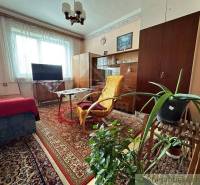 The living room with a carpet, television, chair, and plants dominates the family house.