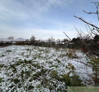 A snowy plot with family houses in the background, surrounded by greenery and trees.