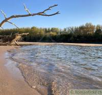 Sandy beach with a washed-up tree and the river's surface embraced by nature.