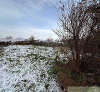 A lawn covered with snow, bushes, in the distance stands a family house and fences.