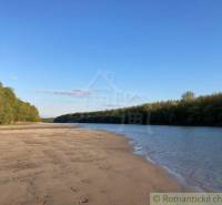 A sandy beach and a river surrounded by forests on a sunny day, ideal for a family home.