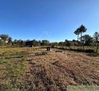 A free plot of land with cottages, trees, and grass, ideal for relaxation in nature.