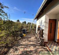 A cottage with wooden doors, a beautiful garden, and vineyards in the yard.