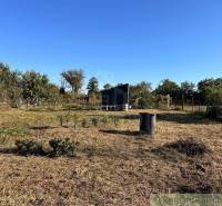 A garden with a cottage and trees, blue sky, natural scenery, peaceful environment.