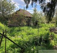 An older house surrounded by lush greenery and fruit trees, ideal for plots - living.
