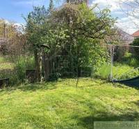 A garden on a property with a lawn, trees, and a fence, ideal for living.