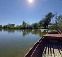 A peaceful river with a boat surrounded by trees and a blue sky, ideal for plots - housing.