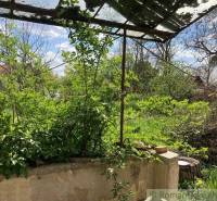 An overgrown garden with a dented canopy shows the potential of the plot for living.