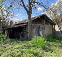 Old wooden house surrounded by greenery, ideal for renovation and land - living.
