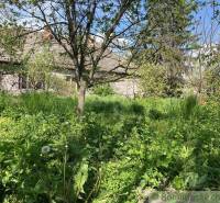 A garden with grass and trees, in the background a country house, suitable for living.