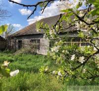 A rustic house in a garden with a blooming tree, ideal for plots and living.