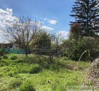 Greenery, trees, residential plots; sunny day, blue sky, nature, airy feelings.