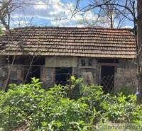 An older house with a wooden roof surrounded by greenery, ideal for countryside lovers.