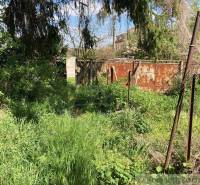 Overgrown garden, rusty sheets, trees, ideal for renovation and new living.