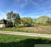 In the picture, there is a cottage and nature, surrounded by green trees and grass.