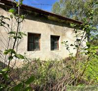 An old cottage surrounded by nature, adorned with greenery and wooden windows.