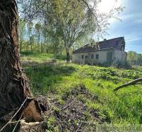 An old cottage in the forest with trees, grass, and bright sunlight.