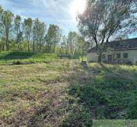 The picture shows a cottage surrounded by grass and trees in a sunny environment.