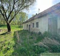 A cottage in nature surrounded by trees, grass, and a well with an idyllic atmosphere.