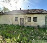An older cottage with a wooden roof, situated in an overgrown natural area.