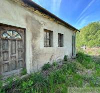 A cottage with wooden doors, windows, surrounded by grass and trees on the edge of the forest.