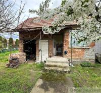 A brick family house, unplastered, with blooming trees and a garden in the background.