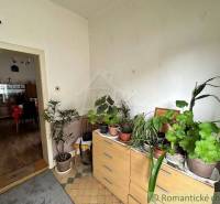 A room full of plants and furniture in a family house creates a cozy atmosphere.