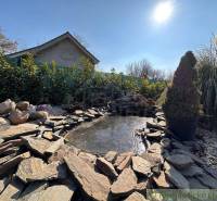 In the picture, there is a garden with an ornamental pond surrounded by stones and a family house in the background.