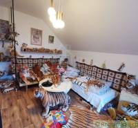 Family house: A room full of tigers, a multitude of plush toys and decorations with tiger motifs.