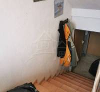 The staircase leads to the basement of the family house, images of felines adorn the walls.