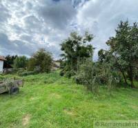 In the picture, there is a country garden and plots with a house and a cart.