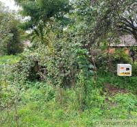 An overgrown yard with dense vegetation surrounds the old house, highlighting the property - a dwelling.