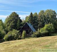 A cottage surrounded by trees and nature offers a refuge away from the city.