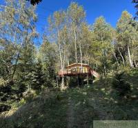 The treehouse is in the middle of a forest environment, surrounded by trees in nature.