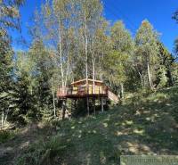 A treehouse in the middle of the forest, surrounded by greenery and nature, an ideal family home.
