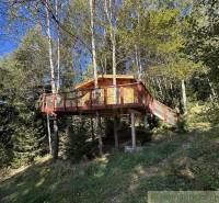 A wooden treehouse in a forest setting for family getaway and relaxation.