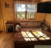 A wooden room with a sofa, TV, fireplace, and window in a family house.