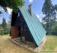 A wooden cabin with a tin roof in the forest, ideal for a family to relax. Cottage.