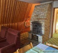Interior with a brick fireplace, wooden walls, a sofa, and a view into the hallway. Cottage.