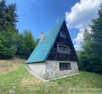 A cottage in the forest with a stone foundation, steep roof, and cladding. A family house in nature.