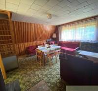 Living room in a family house with a carpet, wooden walls, and a sofa set.