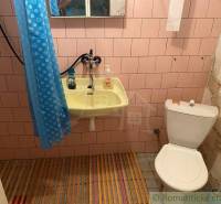 The family house has a bathroom with pink tiles, a sink, and a toilet.