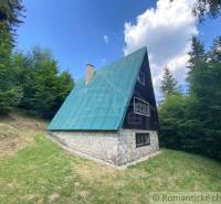An A-frame cabin with a stone foundation in the forest offers refuge and tranquility.