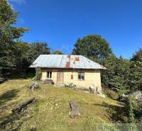 An old cottage with a tin roof, surrounded by trees on a hillside immersed in nature.